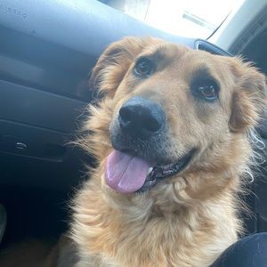 Meet your Posher, Catherine amelia